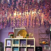 Photo submitted by Sean