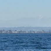 Photo submitted by Larissa