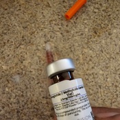 Photo submitted by Stacy