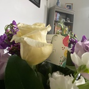 Photo submitted by Jo