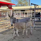 Photo submitted by Jasmin