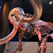 Photo submitted by Guest