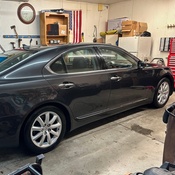 Photo submitted by tracy