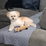 Photo submitted by arleen