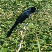 Photo submitted by Diane