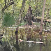 Photo submitted by Yvonne