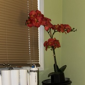 Photo submitted by Yaneli