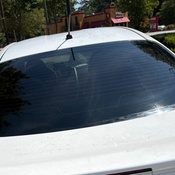 Photo submitted by Emily