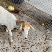 Photo submitted by Jessica