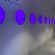 Photo submitted by Jacqueline