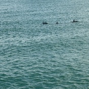 Photo submitted by Dyi-mond