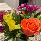 Photo submitted by Katie