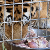 Photo submitted by James