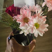 Photo submitted by Patricia