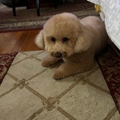 Photo submitted by Angel