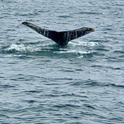 Photo submitted by Julia