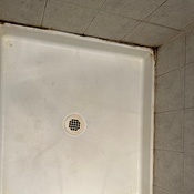 Photo submitted by Kim