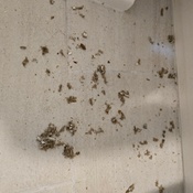 Photo submitted by jisung