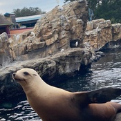 Photo submitted by Linda