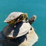 Photo submitted by Sherri