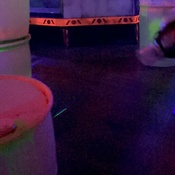 Photo submitted by randi