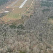 Photo submitted by Guest