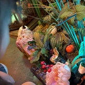 Photo submitted by tianpan