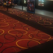 Photo submitted by frances