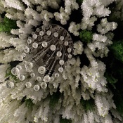 Photo submitted by Izabella