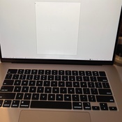 Photo submitted by Hollie