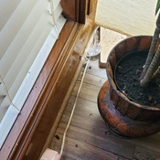 Photo submitted by Guest