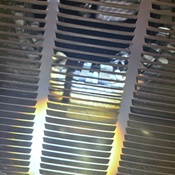 Photo submitted by Guest