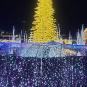 Photo submitted by Shanieke