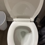 Photo submitted by yasmeen