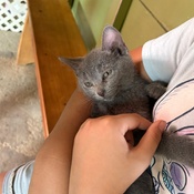 Photo submitted by Kit