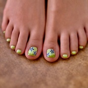 Photo submitted by Guest