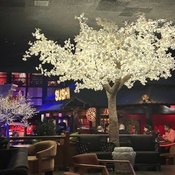 Photo submitted by Tanya