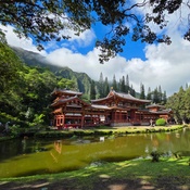 Photo submitted by Meagan