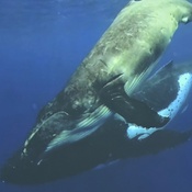 Photo submitted by Linda