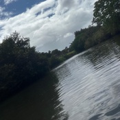 Photo submitted by jacey