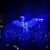 Photo submitted by Cierra