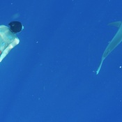 Photo submitted by Naoki