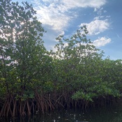 Photo submitted by Guest