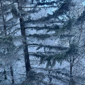 Photo submitted by Nurse