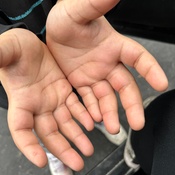 Photo submitted by Karen