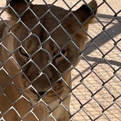 Photo submitted by Janice