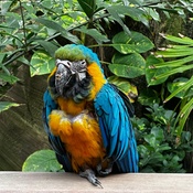 Photo submitted by Jamal