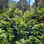 Photo submitted by Kathleen