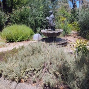 Photo submitted by Talia