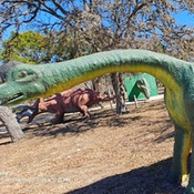 Photo submitted by Darshan